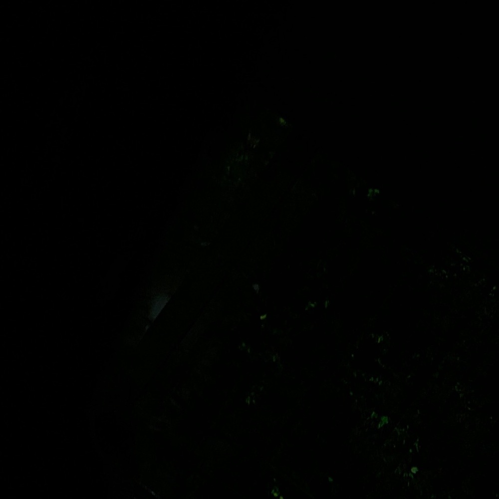 Meet your Posher, Ava